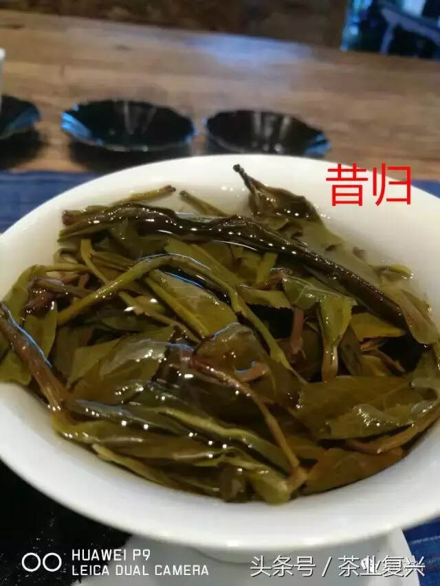 老司机教你一眼鉴别班章与昔归