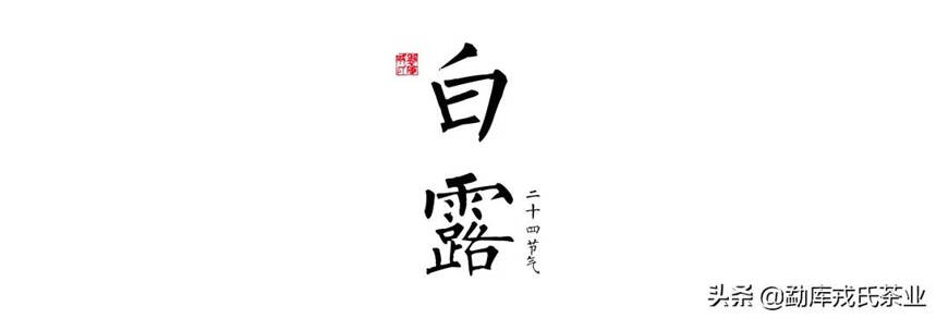 二十四节气 | 白露：甘醇茶香，静暖秋色