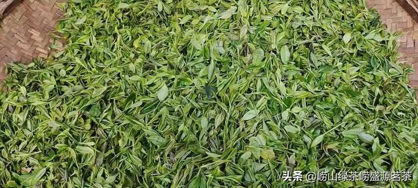 崂山茶什么时候口感最好？越贵的茶叶越好喝吗？