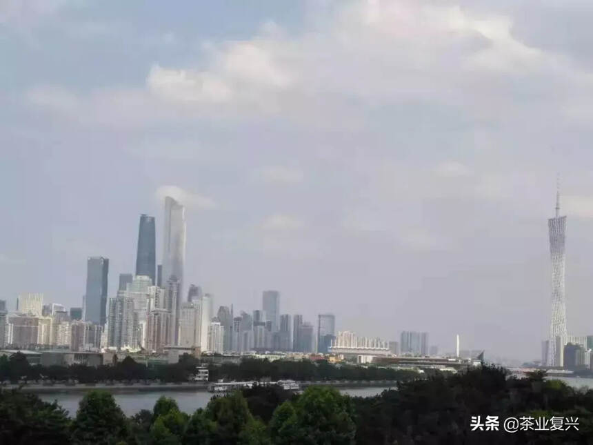 为什么普洱茶二级市场的交易中心在芳村？