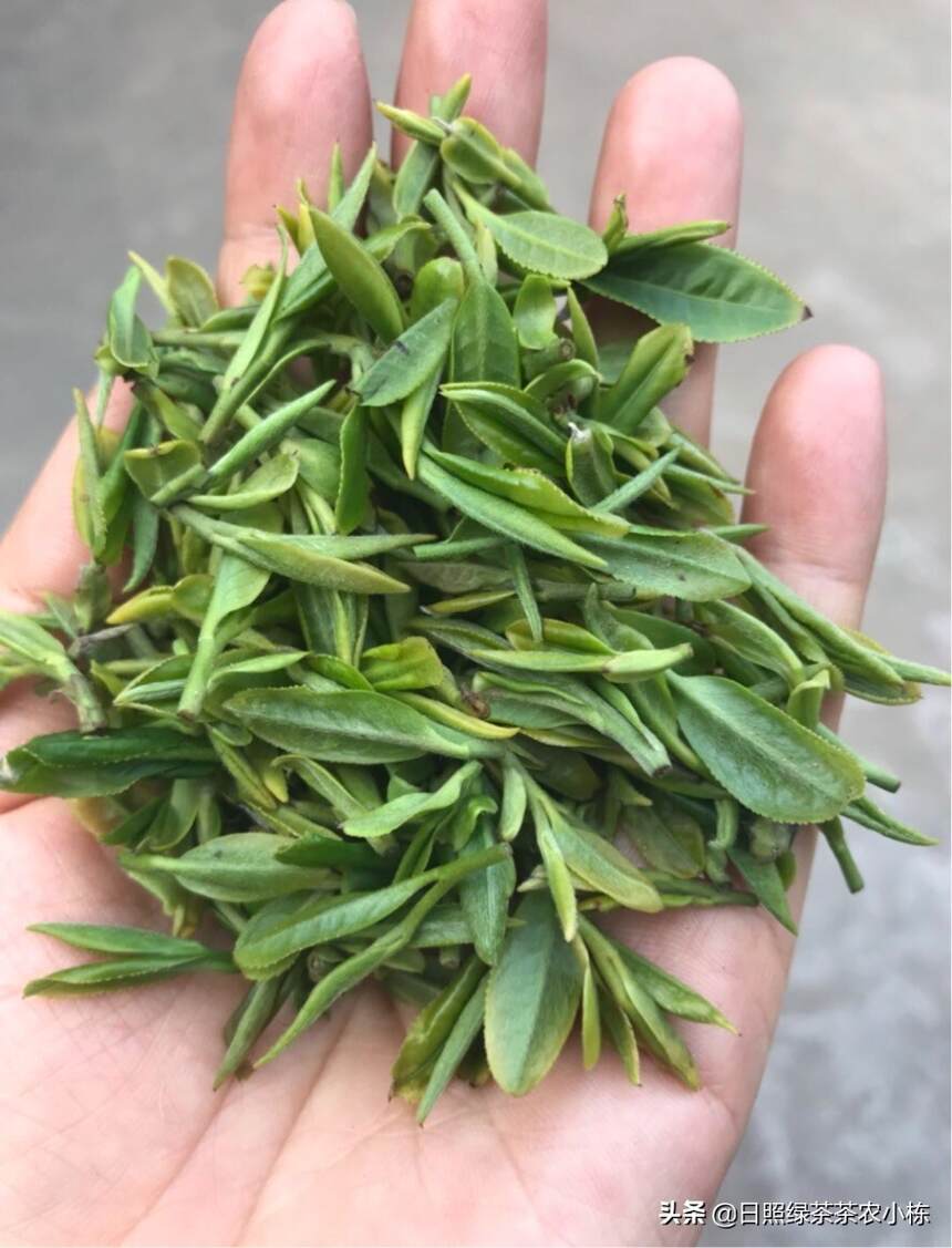 哪些茶，需要放冰箱冷藏，哪些茶可以冷冻？