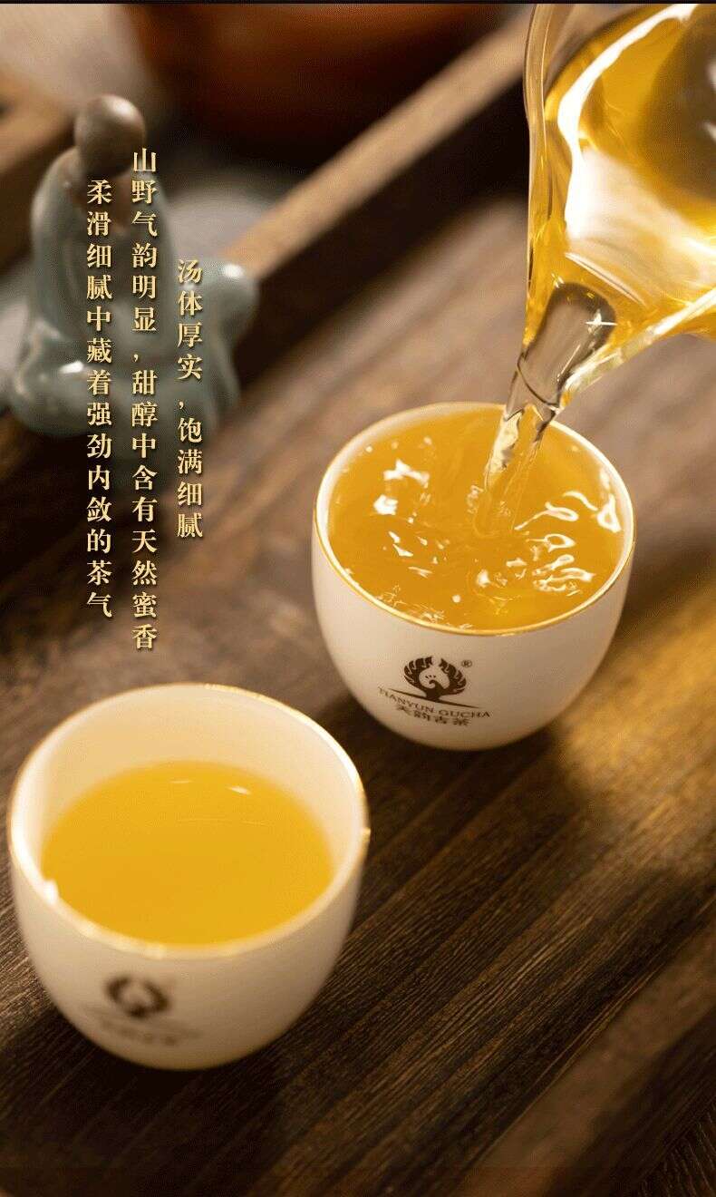 天韵古茶首款号级茶——易武古树圆茶 隆重上市