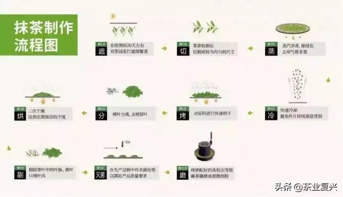 中国抹茶，欢迎回家