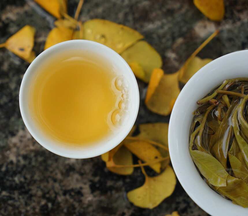 无量山有哪些普洱古茶山？这些古茶山的茶叶怎么样？