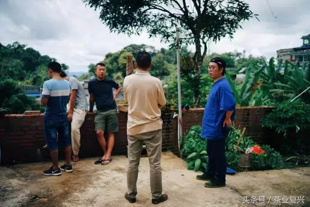 这片土地的脉络，是从茶叶里流淌出的血脉，守茶山就是守江山