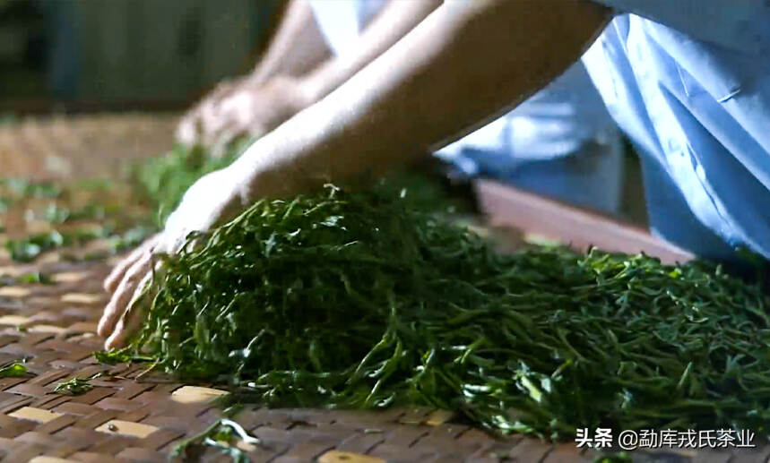 「戎茶学堂」知味为本 辨味为根