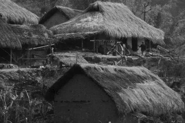 老班章：亿元茶叶土豪村的今昔对比「多图慎入」