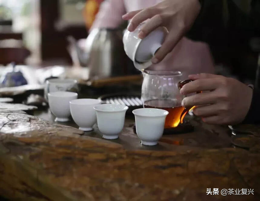 东莞，凭什么成为“藏茶之都”？