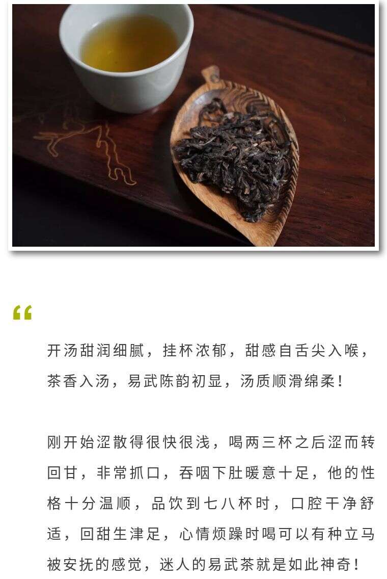 惊蛰已至！还不来杯昔日贡茶？