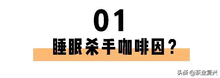 喝茶一定睡不着？长期失眠的你也许缺的就是茶叶