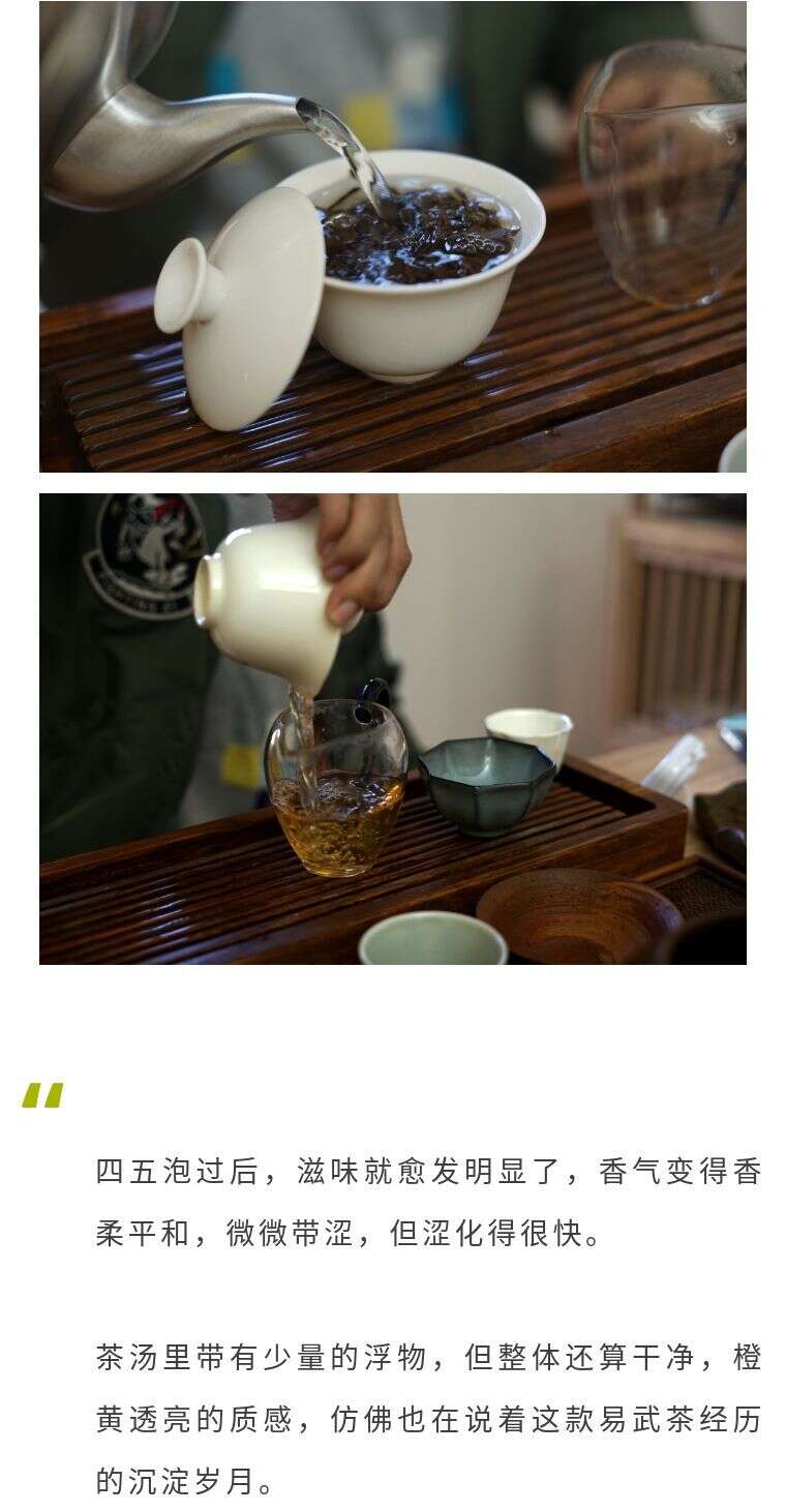 普洱茶茶评第25期：2008易武茶