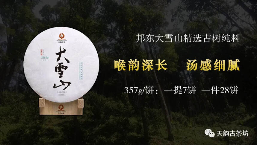 深钻茶山｜您要的2020年头春古树茶就在这里!