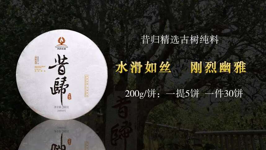 天韵古茶｜普洱茶四大核心基地，为源头品质奠定了良好的基础