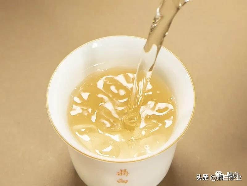 鼎白茶：留存历史，传承岁月