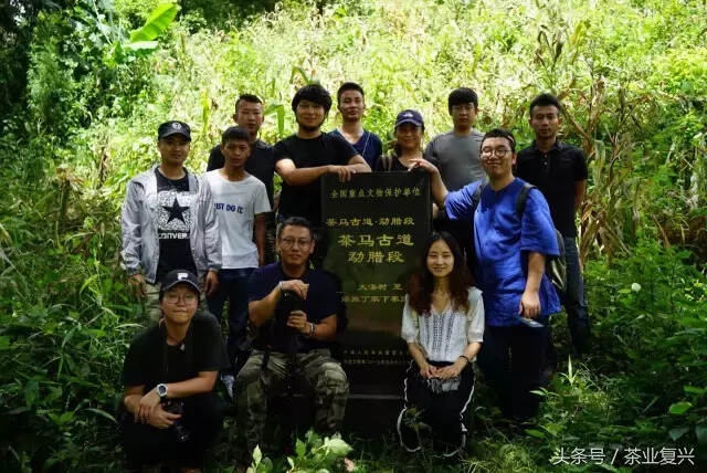 这片土地的脉络，是从茶叶里流淌出的血脉，守茶山就是守江山