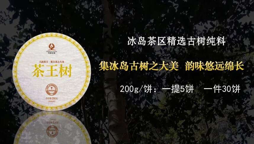 天韵古茶｜普洱茶四大核心基地，为源头品质奠定了良好的基础