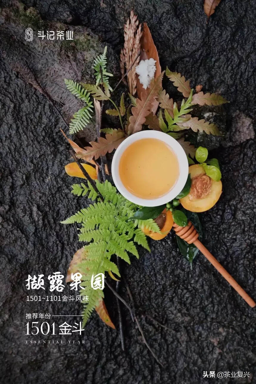 普洱茶为什么这么复杂？