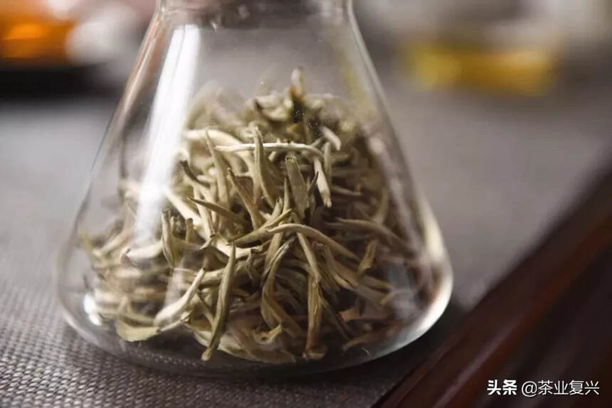 六大茶类中选一个一起过情人节，你选谁？