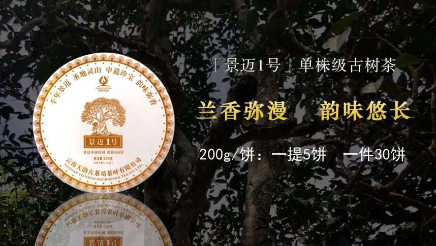 天韵古茶｜普洱茶四大核心基地，为源头品质奠定了良好的基础