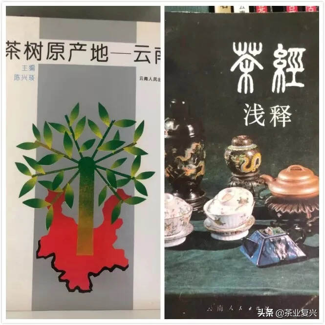 张芳赐：用四十余载，“复活”昆明十里香茶