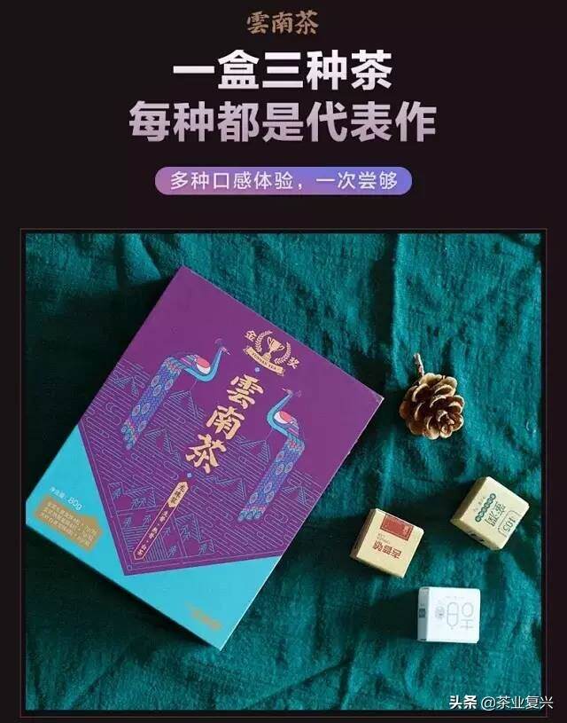 熟普相伴的日子，怎么少得了这款万人迷的金奖茶