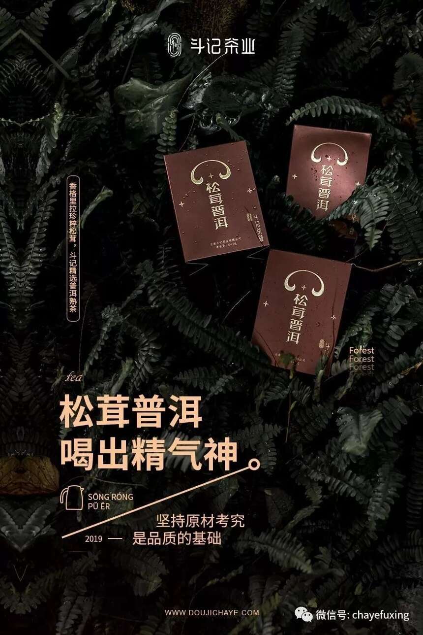 松茸普洱即将上市 | 楼宇林立的城市，你需要深度碰撞诞生的颐养珍味！