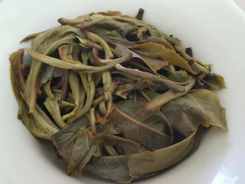 普洱茶茶评第22期：景迈古树