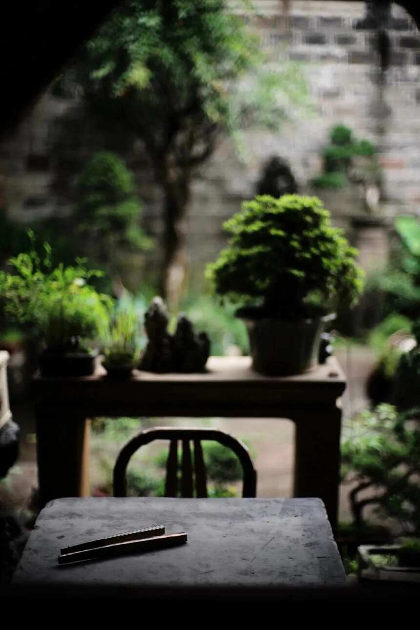 青山烟雨，一茶入空