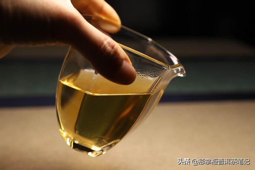 勐麻河蜜糖香古树茶，“喝这个茶不想工作，就想躺平”是为何？