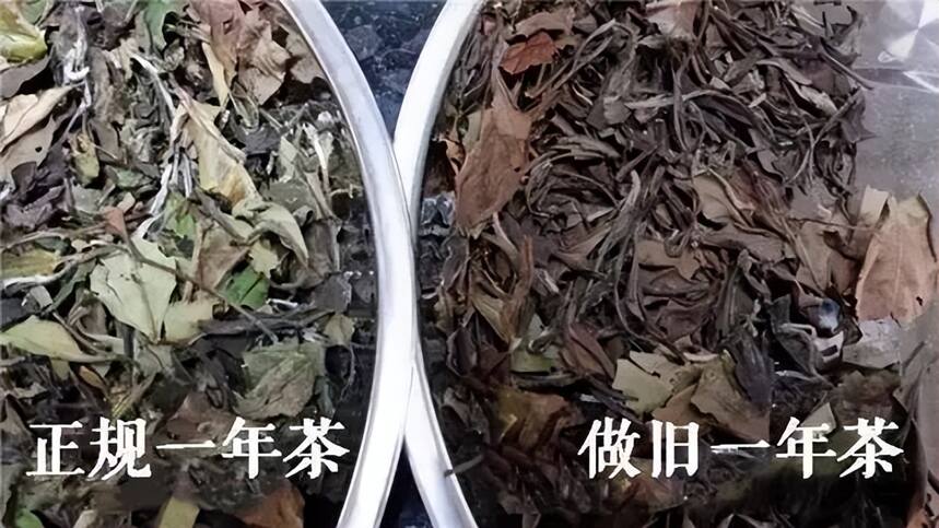 如何避免买到造旧老白茶