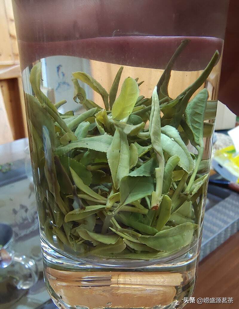 来几款崂山头胚大田扁茶给您看看