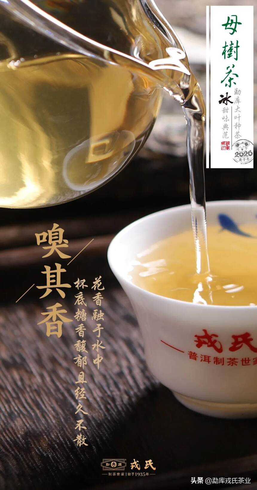 冰糖甜韵，荣耀传承|2020年母树茶惊喜上市！