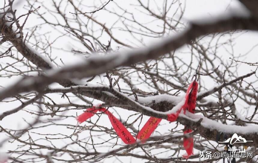 2018年崂山第一场雪