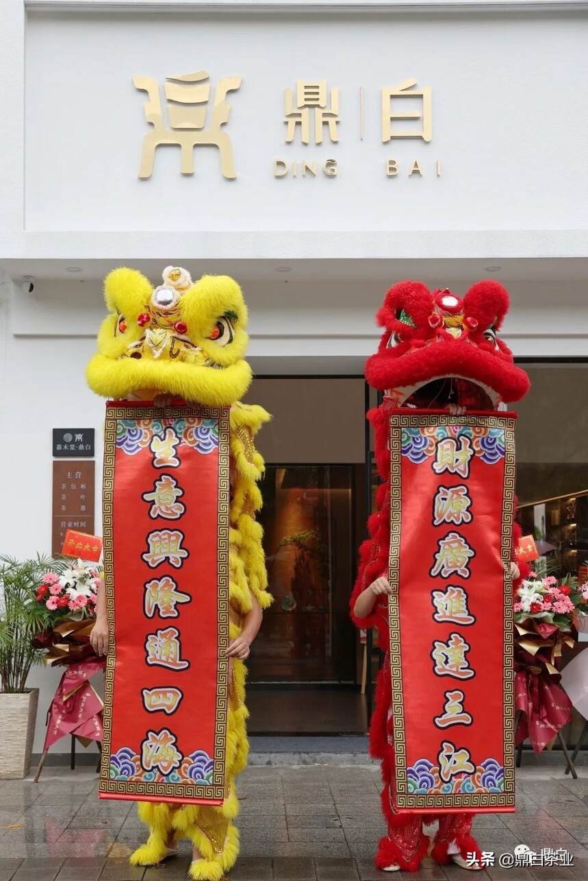 热烈祝贺｜鼎白宁波江北专营店盛大开业