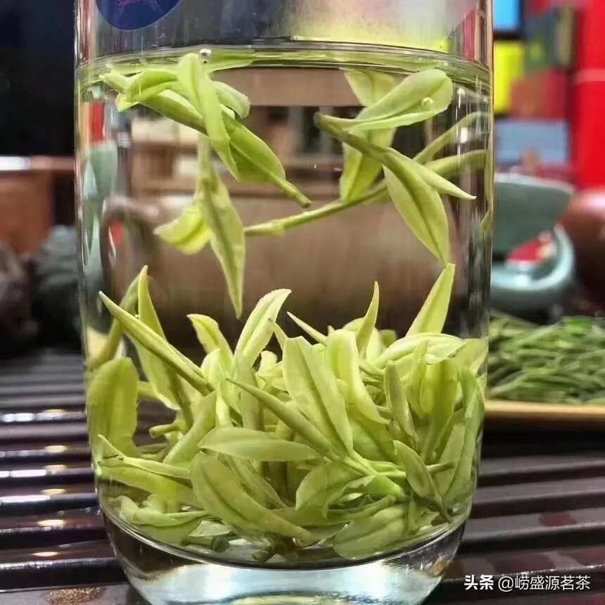 崂山茶贵的与便宜的区别是什么？