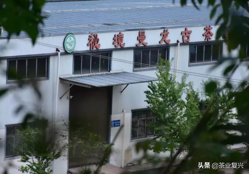 在中缅边陲小镇上，他用茶叶搭建起了一条绿色康养之路