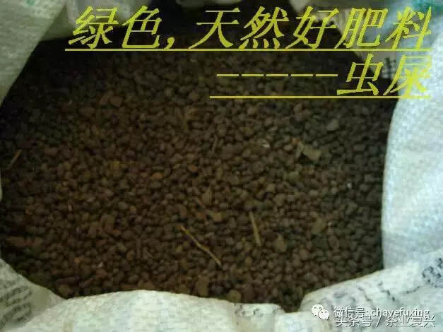 茶界令人震惊的11大奇葩事件