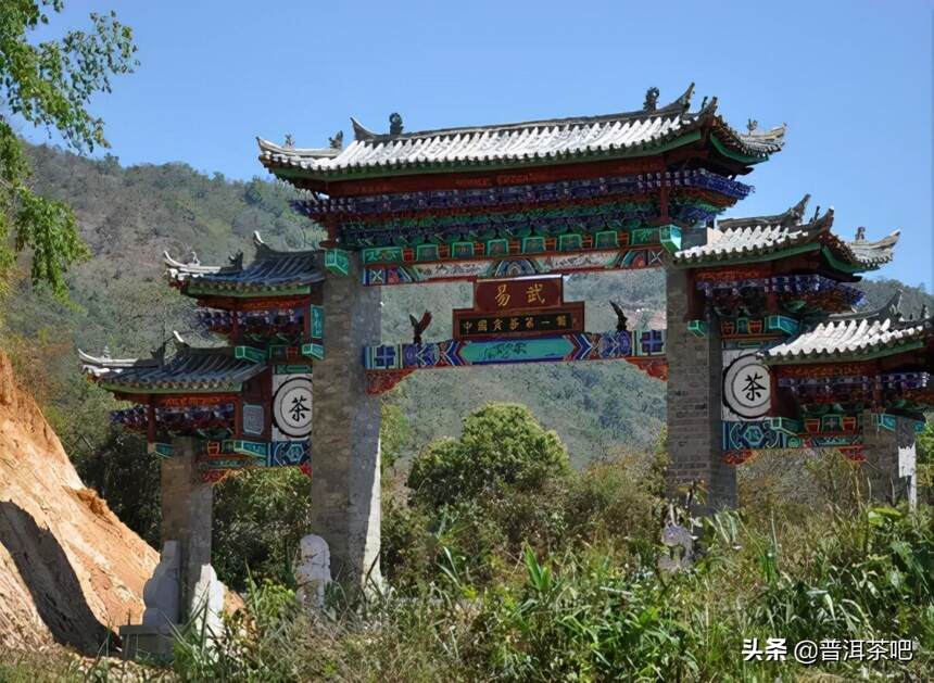 「干货分享」易武古茶山高山寨古茶园茶山行