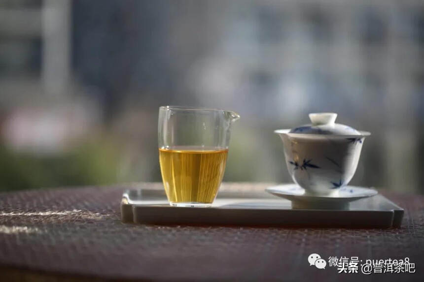 「答疑解惑」古树茶树龄越大，品质就越好吗？