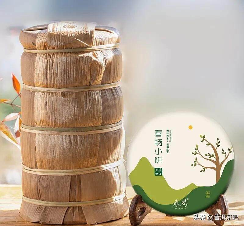 云南普洱茶生茶与熟茶，不仅仅是一个渥堆的距离