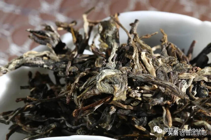 「答疑解惑」古树茶树龄越大，品质就越好吗？