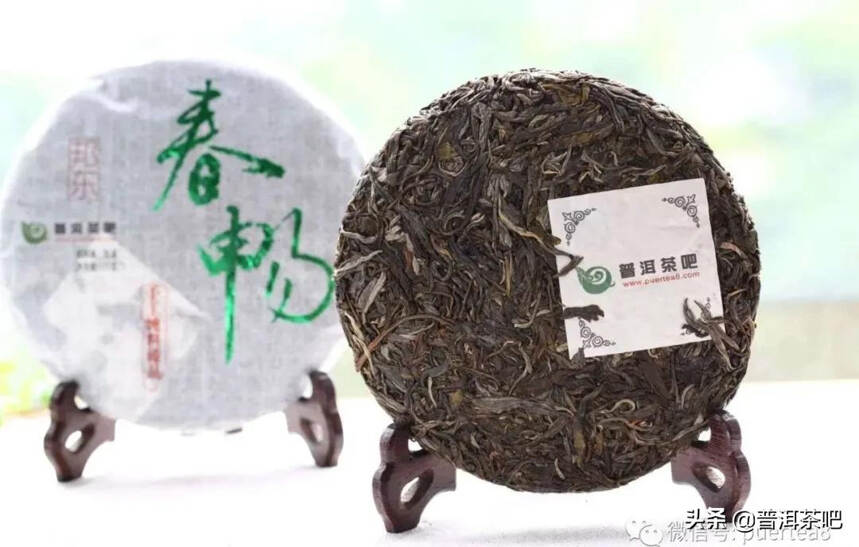 「干货分享」解析临沧茶区六大山头普洱茶特点