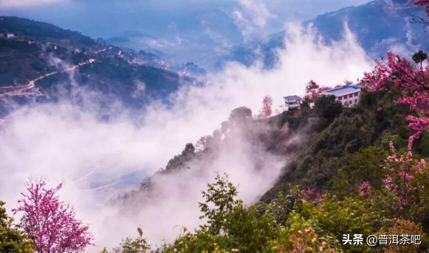 云南大理无量山樱花谷，中国冬天最美的地方，没有之一