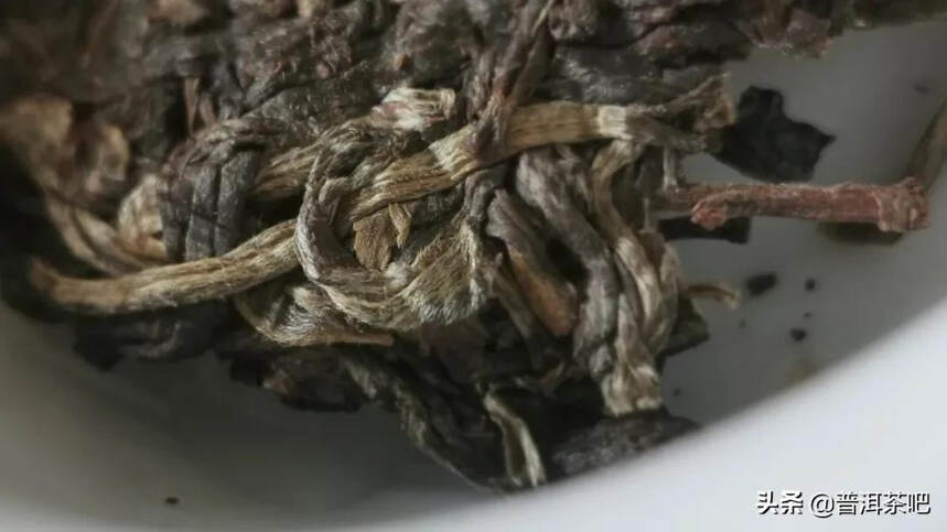 「答疑解惑」古树茶树龄越大，品质就越好吗？