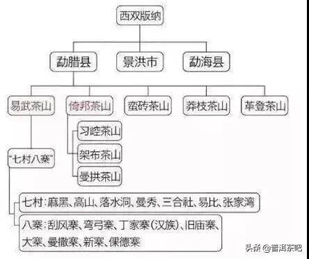 「干货分享」详细解析普洱茶四大主要产区