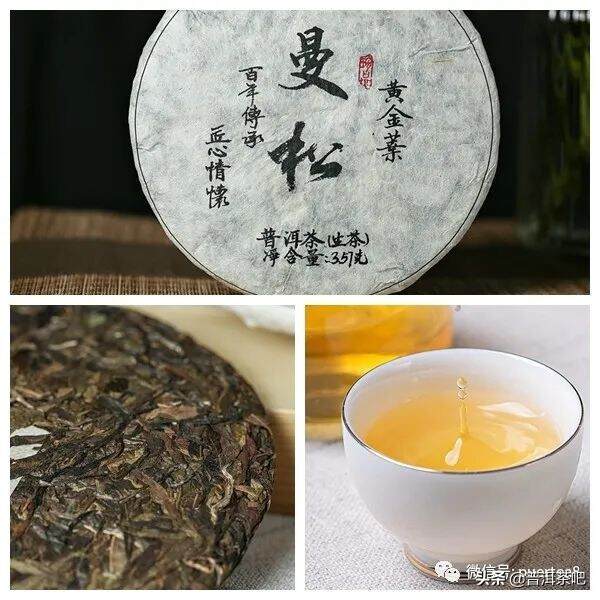 普洱茶树全身是宝，一定要榨干它