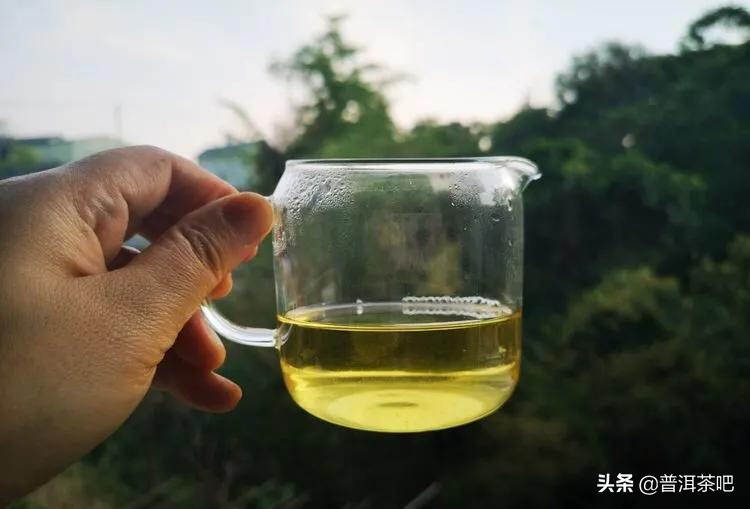 「干货分享」云南普洱茶春茶茶山行（多图欣赏）