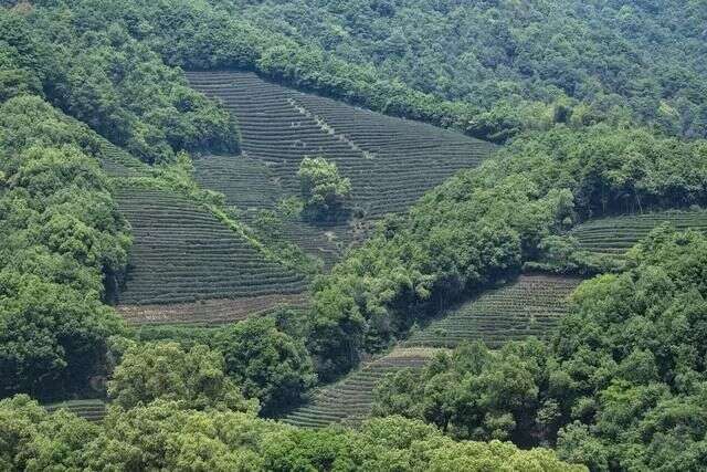 改土归流与六大茶山