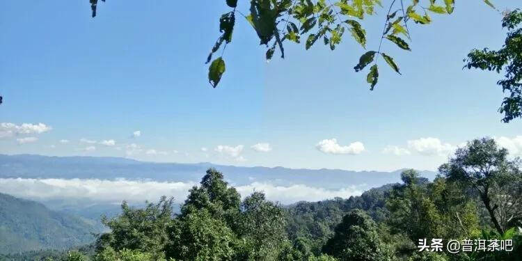 「普洱茶山行」云南普洱景迈山芒景村布朗族的家园普洱茶的故乡