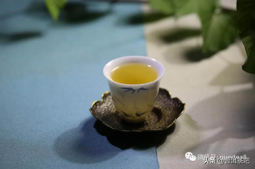 「干货分享」醒茶 | 让茶变好喝的特别技巧